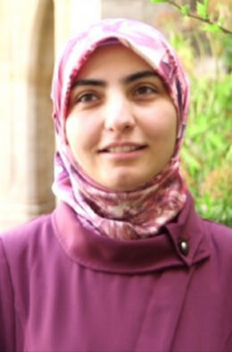 Heba Sailem