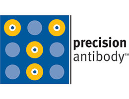 Precision Antibody