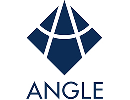 Angle Plc